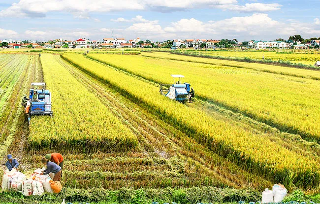 Nghèo nàn sản phẩm dịch vụ nông nghiệp nông thôn ảnh 1 Nghèo nàn sản phẩm dịch vụ nông nghiệp nông thôn ảnh 1