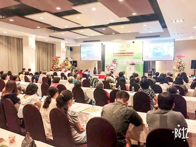 Liệu pháp phòng tai biến mạch máu não ảnh 1 Liệu pháp phòng tai biến mạch máu não ảnh 1