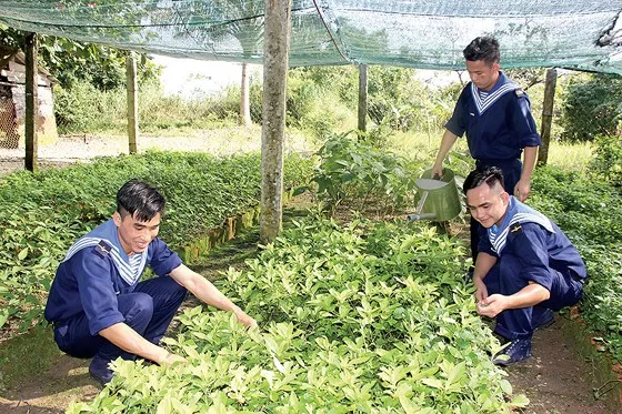 Biển Tây Nam - xa mà gần ảnh 4