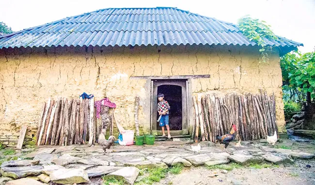 Y Tý - Cuộc sống bình dị,nhẹ nhàng ảnh 4 Y Tý - Cuộc sống bình dị,nhẹ nhàng ảnh 4