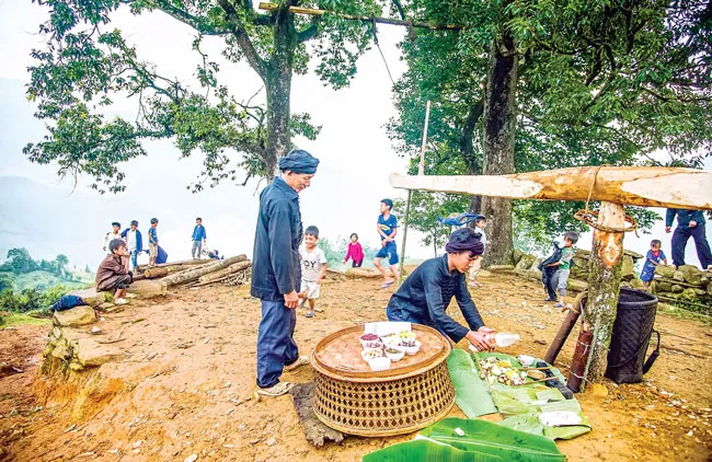 Y Tý - Cuộc sống bình dị,nhẹ nhàng ảnh 6 Y Tý - Cuộc sống bình dị,nhẹ nhàng ảnh 6