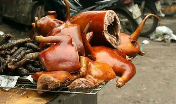 Một thói quen cần từ bỏ Một thói quen cần từ bỏ
