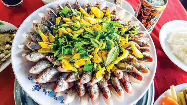 Ốc đảo thiên nhiên Gáo Giồng ảnh 2 Ốc đảo thiên nhiên Gáo Giồng ảnh 2
