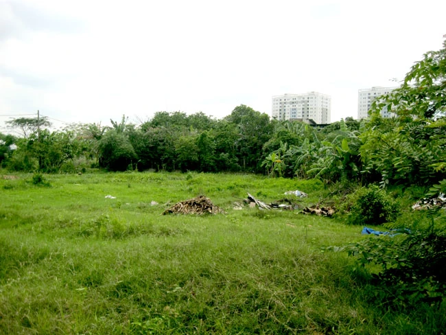 Phản hồi loạt bài “Điểm mặt những dự án rùa”: Kiên quyết thu hồi dự án treo ảnh 1 Phản hồi loạt bài “Điểm mặt những dự án rùa”: Kiên quyết thu hồi dự án treo ảnh 1