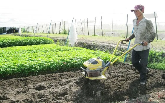 Để nông dân, người lao động tự do có lương hưu ảnh 1 Để nông dân, người lao động tự do có lương hưu ảnh 1