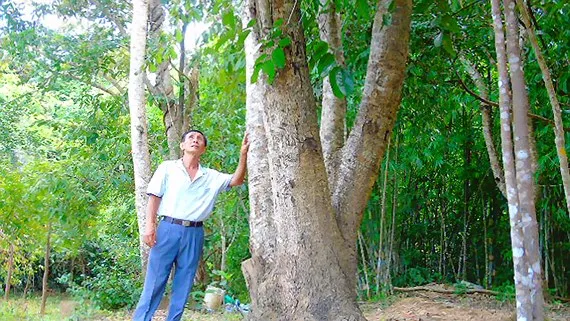 “Vùng đất chết” thành khu du lịch sinh thái