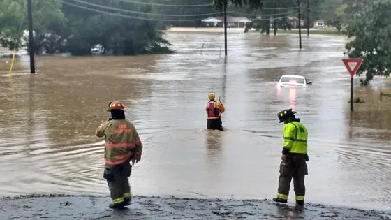 Siêu bão Michael tấn công Florida: 17 người chết, một căn cứ quân sự bị san bằng, cả thị trấn bị xóa sổ ảnh 18