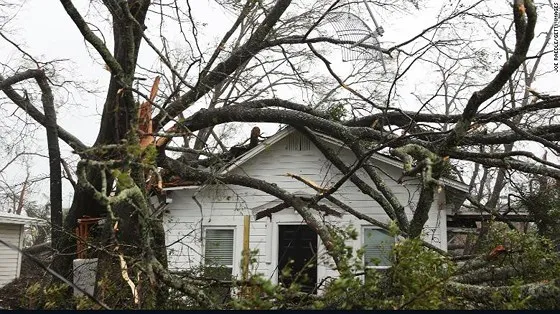 Siêu bão Michael tấn công Florida: 17 người chết, một căn cứ quân sự bị san bằng, cả thị trấn bị xóa sổ ảnh 50