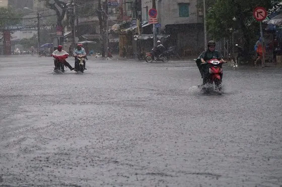 TPHCM mưa lớn, cây xanh bật gốc ngã đè người đi đường tử vong ảnh 11 TPHCM mưa lớn, cây xanh bật gốc ngã đè người đi đường tử vong ảnh 10