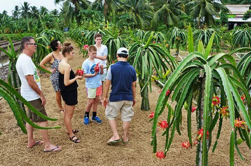 Hạ tầng đang kéo lùi du lịch