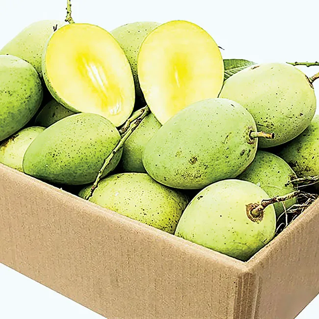 Thị trường Nhật Bản dễ vào nhưng khó trụ ảnh 1 Thị trường Nhật Bản dễ vào nhưng khó trụ ảnh 1