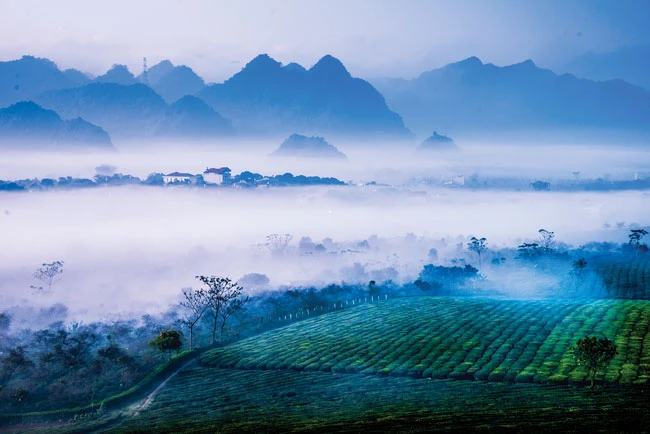 Mộc Châu vào mùa đẹp nhất ảnh 7 Mộc Châu vào mùa đẹp nhất ảnh 7