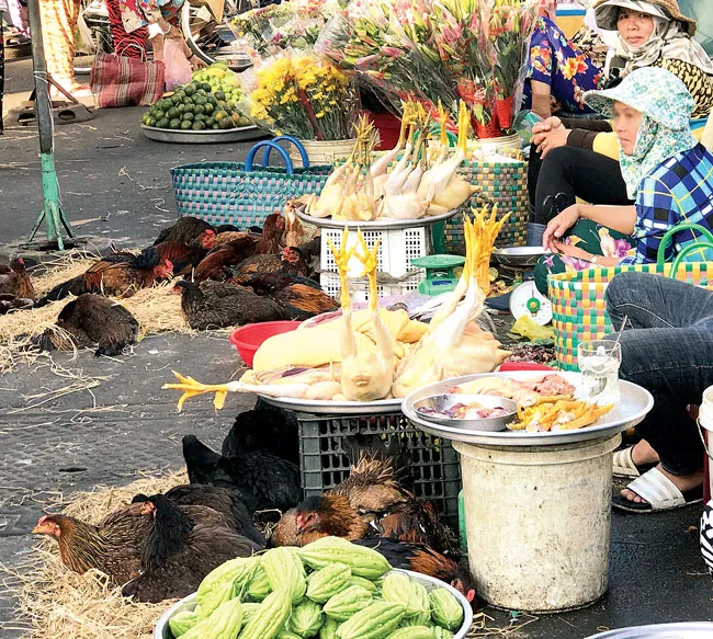 Cuối năm “nóng” chuyện thực phẩm bẩn - Bài 1: Thực phẩm bẩn bủa vây mùa giáp tết ảnh 1 Cuối năm “nóng” chuyện thực phẩm bẩn - Bài 1: Thực phẩm bẩn bủa vây mùa giáp tết ảnh 1