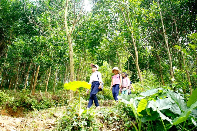 Biệt lập giữa đại ngàn ảnh 2 Biệt lập giữa đại ngàn ảnh 2