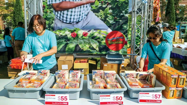 Chữa bệnh bằng liệu pháp tâm lý ảnh 1 Chữa bệnh bằng liệu pháp tâm lý ảnh 1