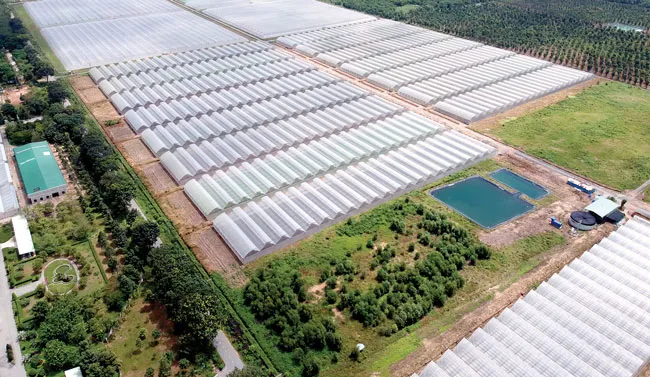 Người dân được tham gia, chia sẻ thành quả phát triển dọc bờ sông Sài Gòn ảnh 1 Người dân được tham gia, chia sẻ thành quả phát triển dọc bờ sông Sài Gòn ảnh 1