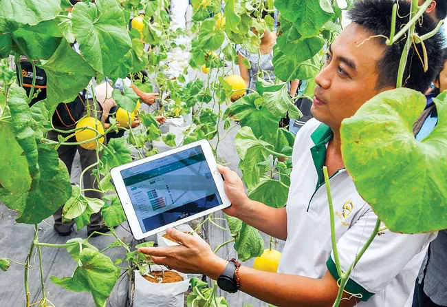 Nông nghiệp công nghệ cao vẫn còn thấp ảnh 1 Nông nghiệp công nghệ cao vẫn còn thấp ảnh 1