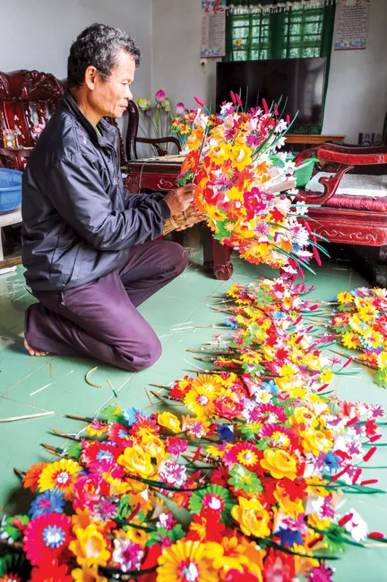 Hoa giấy Thanh Tiên góp hương xuân ảnh 7 Hoa giấy Thanh Tiên góp hương xuân ảnh 7