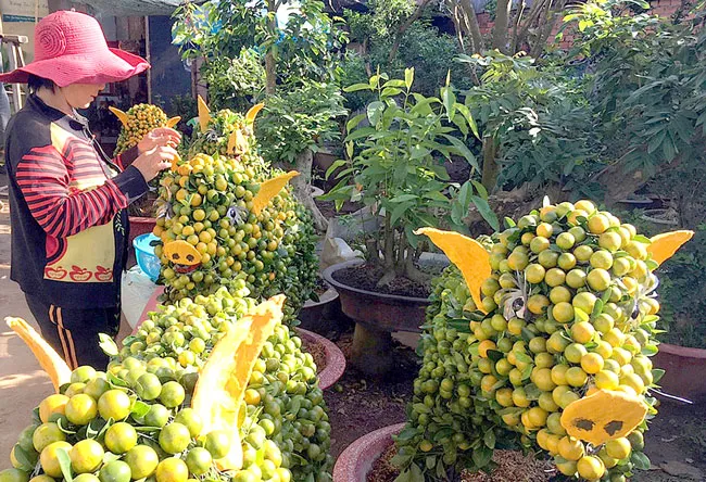 Trái cây, hoa kiểng tạo hình hút khách ảnh 1 Trái cây, hoa kiểng tạo hình hút khách ảnh 1