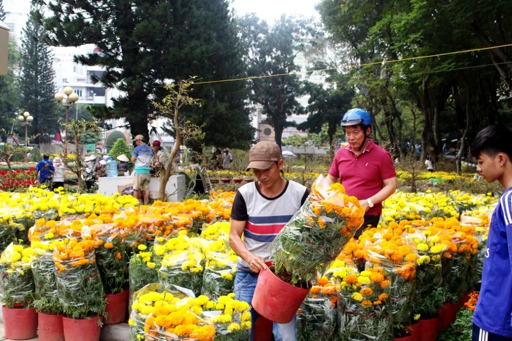 Canh bạc hoa tết