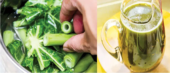Những bài thuốc chữa bệnh từ cây đu đủ ảnh 1 Những bài thuốc chữa bệnh từ cây đu đủ ảnh 1