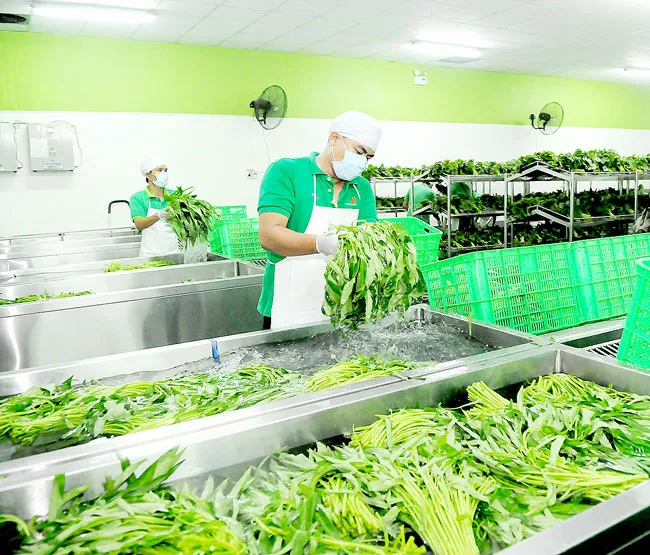 Kết nối chuỗi sản xuất - tiêu dùng thực phẩm sạch ảnh 1 Kết nối chuỗi sản xuất - tiêu dùng thực phẩm sạch ảnh 1