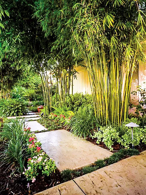 Phong thủy trong ngôi nhà ảnh 2 Phong thủy trong ngôi nhà ảnh 2