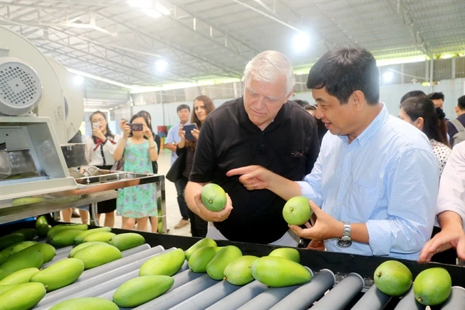 Phát huy trái cây Việt 