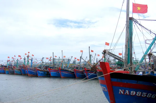 Tàu 67 vươn khơi rồi… mắc cạn ảnh 1 Tàu 67 vươn khơi rồi… mắc cạn ảnh 1