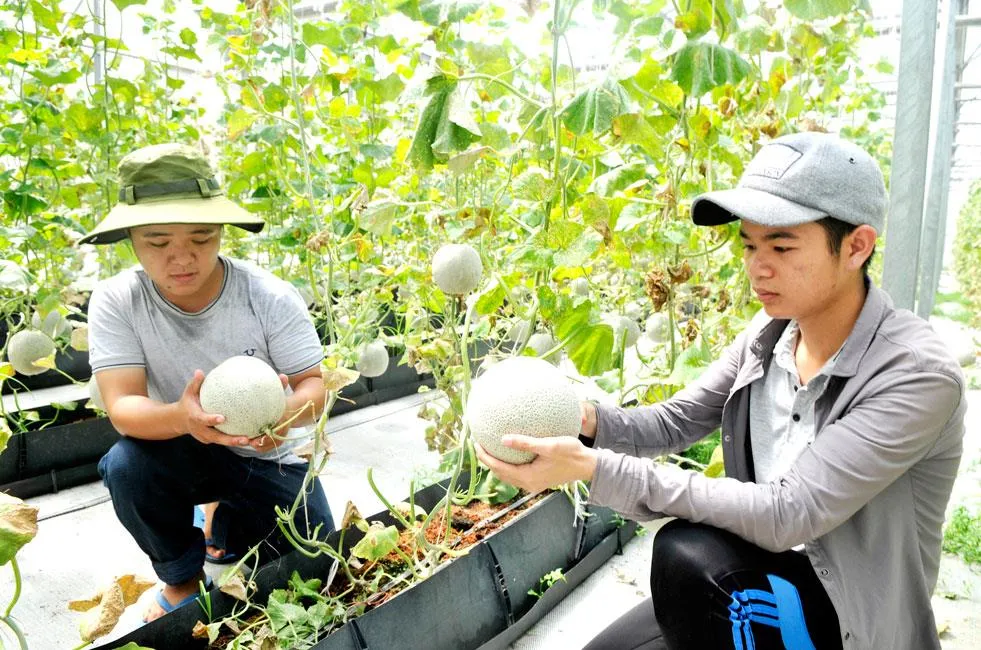 Xuất khẩu nông sản có dấu hiệu chựng lại ảnh 1 Xuất khẩu nông sản có dấu hiệu chựng lại ảnh 1
