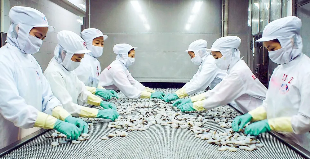Seafood stocks impacted by negative information of MPC ảnh 1 Seafood stocks impacted by negative information of MPC ảnh 1