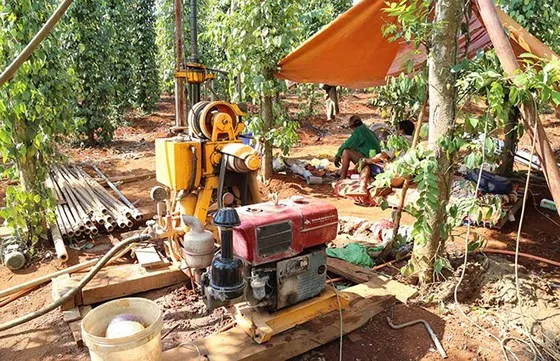 Cây lương thực khô cháy, chết dần vì hạn hán kéo dài ở khu vực Trung Trung bộ ảnh 12