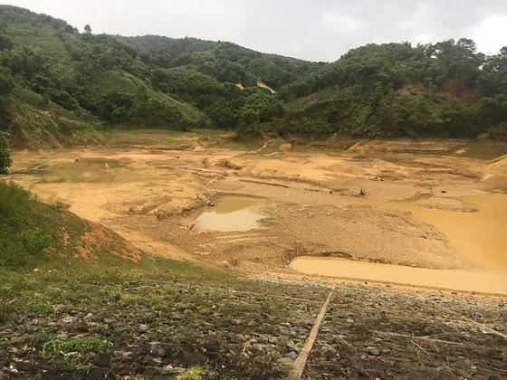 Cây lương thực khô cháy, chết dần vì hạn hán kéo dài ở khu vực Trung Trung bộ ảnh 6