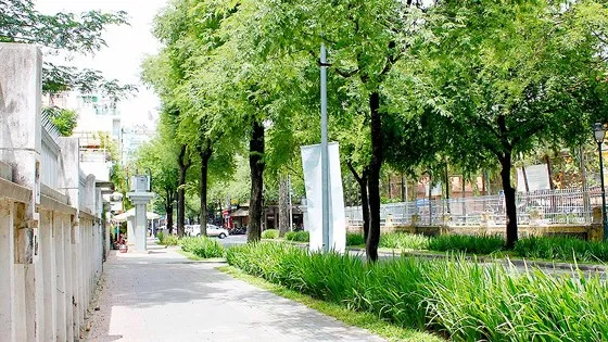 Giã từ 'mạng nhện' ảnh 1