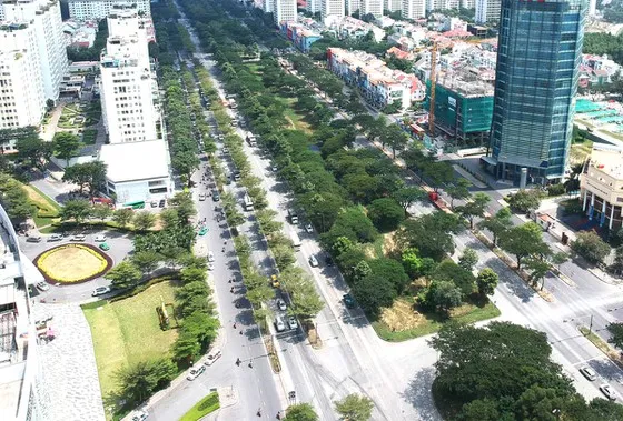 Nhiều vướng mắc trong quản lý cây xanh đô thị ảnh 1 Nhiều vướng mắc trong quản lý cây xanh đô thị ảnh 1