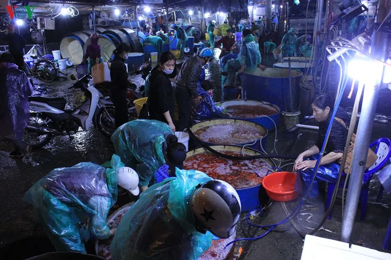 chợ cá sở thượng nhộn nhịp trước tết ông công ông táo hình 1 cho ca so thuong nhon nhip truoc tet ong cong ong tao hinh 1