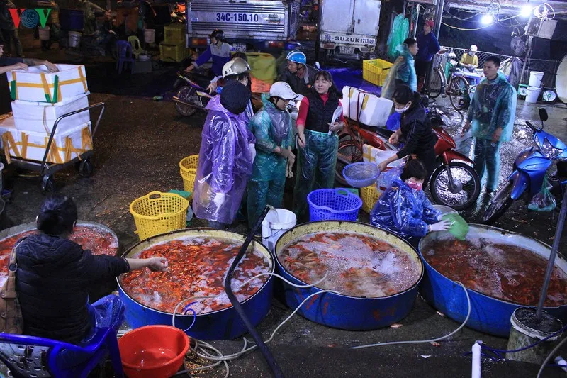chợ cá sở thượng nhộn nhịp trước tết ông công ông táo hình 2 cho ca so thuong nhon nhip truoc tet ong cong ong tao hinh 2