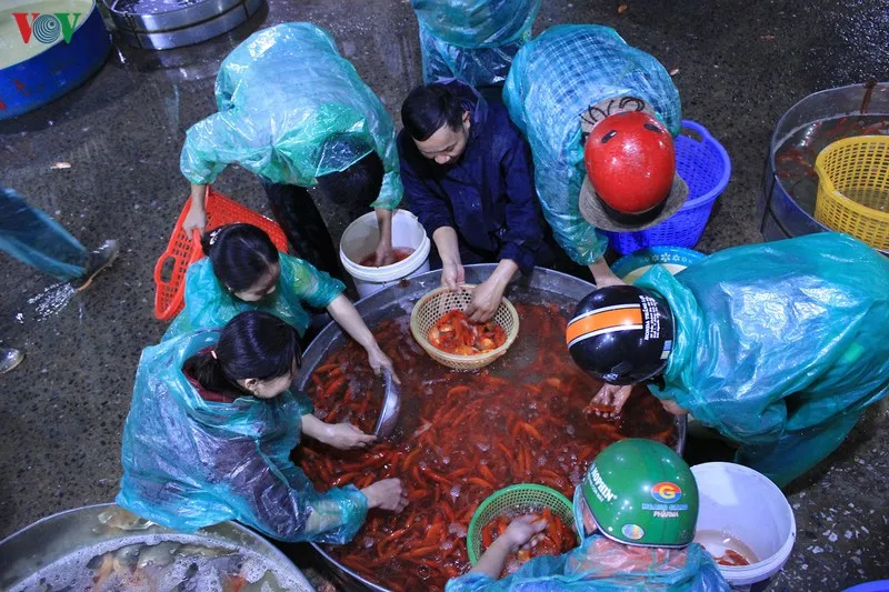 chợ cá sở thượng nhộn nhịp trước tết ông công ông táo hình 9 cho ca so thuong nhon nhip truoc tet ong cong ong tao hinh 9