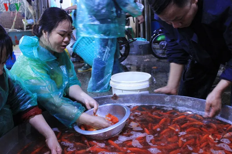 chợ cá sở thượng nhộn nhịp trước tết ông công ông táo hình 7 cho ca so thuong nhon nhip truoc tet ong cong ong tao hinh 7