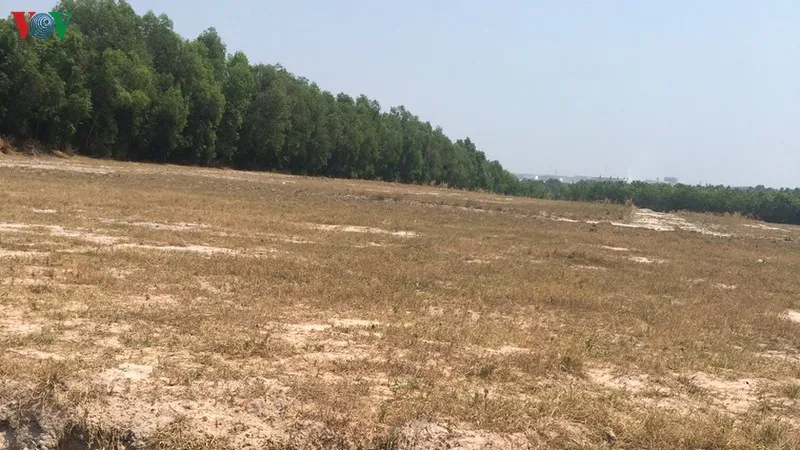 khách hàng tố công ty city land bình dương lừa bán đất nền hình 4 khach hang to cong ty city land binh duong lua ban dat nen hinh 4