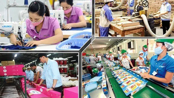 hơn 93% doanh nghiệp được gia hạn nộp thuế hình 1 hon 93% doanh nghiep duoc gia han nop thue hinh 1