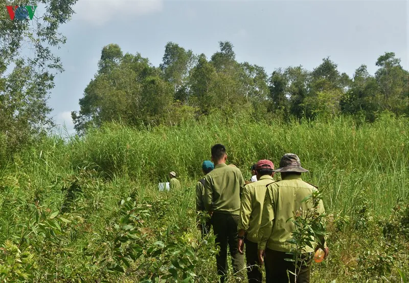 anh: "canh lua" noi dat rung u minh ha hinh 9