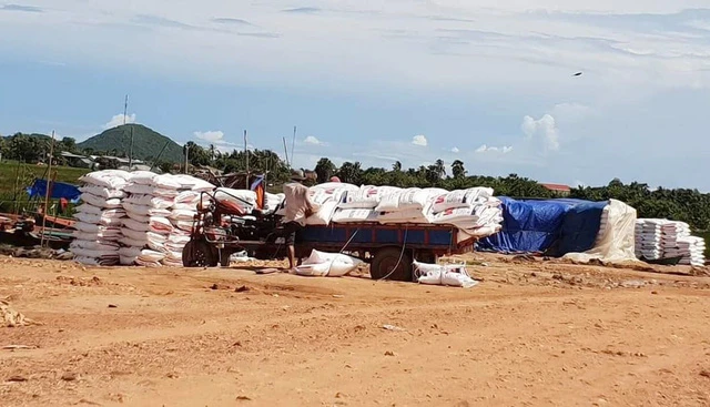 Ngăn chặn, xử lý nghiêm nạn buôn lậu khẩu trang và gạo qua biên giới