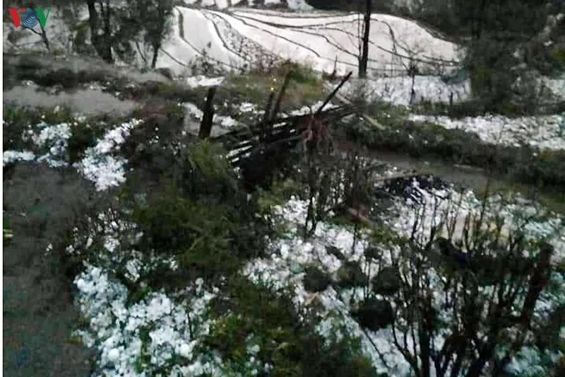 mưa đá, dông lốc kinh hoàng ở tây bắc, 4 người thiệt mạng hình 3 mua da, dong loc kinh hoang o tay bac, 4 nguoi thiet mang hinh 3