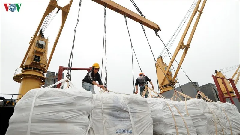 xuất khẩu những tháng cuối năm nhiều tín hiệu khả quan hình 2 xuat khau nhung thang cuoi nam nhieu tin hieu kha quan hinh 2