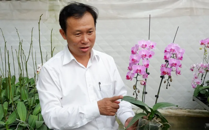 giao dịch "khủng" về lan đột biến có tin được không? hình 3 giao dich "khung" ve lan dot bien co tin duoc khong? hinh 3