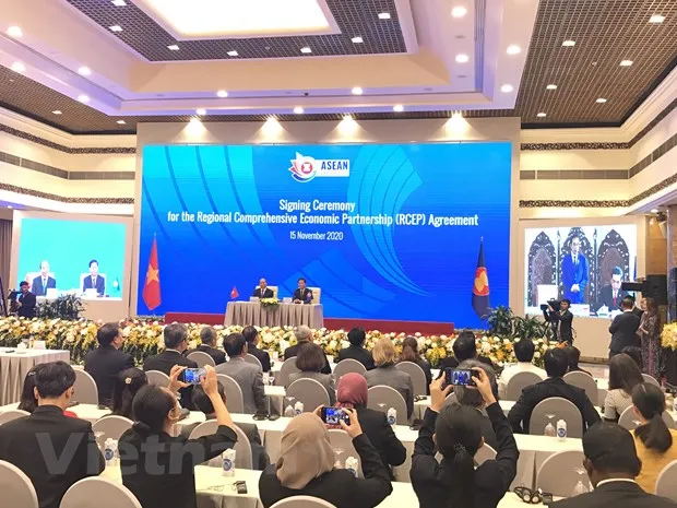 ''Cung voi CPTPP, RCEP mang lai 2 mo hinh kinh te rat ly tuong'' hinh anh 3
