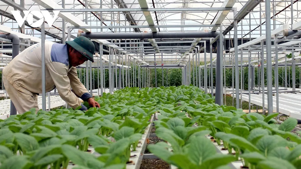 Kết nối tiêu thụ nông sản không chỉ là "thuận mua, vừa bán" ảnh 2 Kết nối tiêu thụ nông sản không chỉ là "thuận mua, vừa bán" ảnh 2