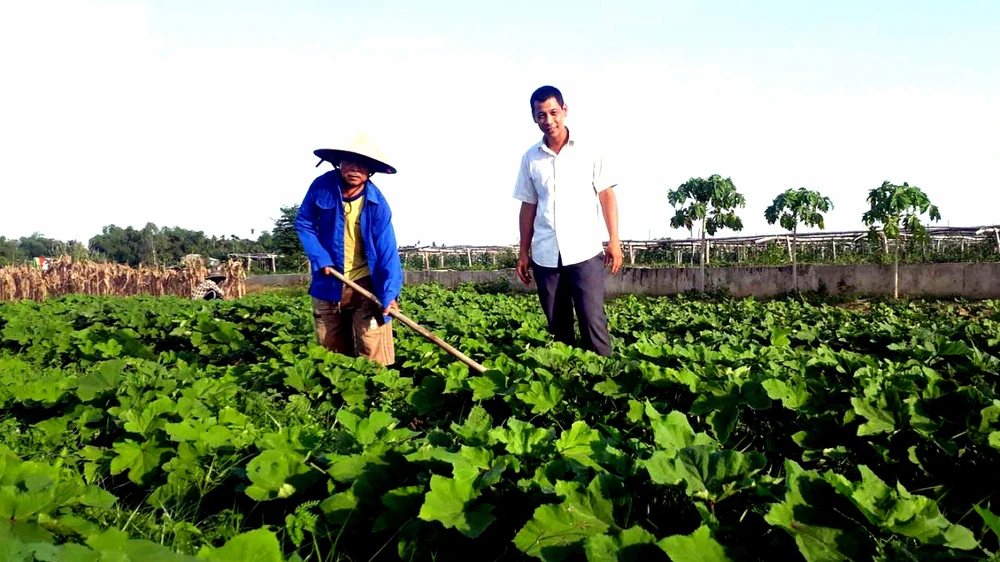 Nông dân có vai trò chủ thể và rất quan trọng trong phát triển nông nghiệp.