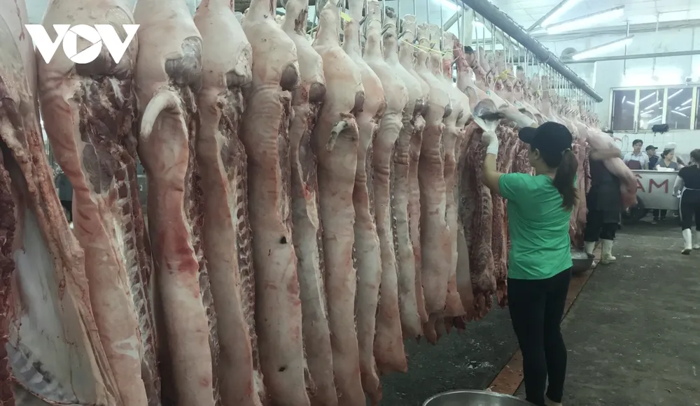 Hàng hóa đổ về chợ đầu mối ở TPHCM tăng đột biến ảnh 6